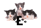 GIF animado (29931) Letra e gatitos