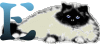GIF animado (29957) Letra e gato angora