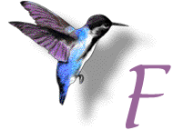 GIF animado (28885) Letra f colibri