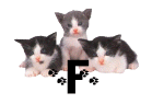 GIF animado (29932) Letra f gatitos
