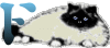GIF animado (29958) Letra f gato angora