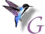 GIF animado (28886) Letra g colibri