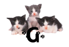 GIF animado (29933) Letra g gatitos