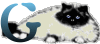 GIF animado (29959) Letra g gato angora