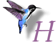 GIF animado (28887) Letra h colibri
