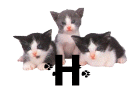 GIF animado (29934) Letra h gatitos