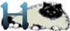 GIF animado (29960) Letra h gato angora