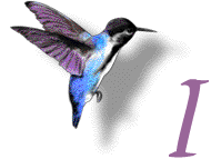 GIF animado (28888) Letra i colibri