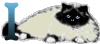 GIF animado (29961) Letra i gato angora