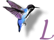 GIF animado (28891) Letra l colibri
