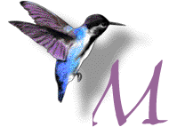 GIF animado (28892) Letra m colibri