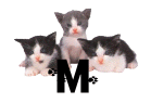 GIF animado (29939) Letra m gatitos