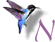 GIF animado (28893) Letra n colibri