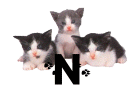 GIF animado (29940) Letra n gatitos