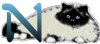 GIF animado (29966) Letra n gato angora