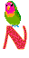 GIF animado (29008) Letra n periquito