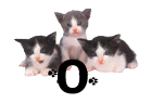 GIF animado (29941) Letra o gatitos