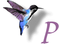 GIF animado (28895) Letra p colibri