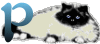 GIF animado (29968) Letra p gato angora