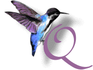 Imagen GIF de Letra q colibri animado