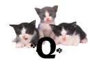 GIF animado (29943) Letra q gatitos