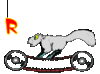 GIF animado (28824) Letra r ardilla blanca
