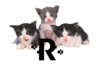 GIF animado (29944) Letra r gatitos