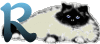 GIF animado (29970) Letra r gato angora