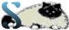 GIF animado (29971) Letra s gato angora