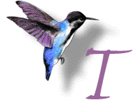 GIF animado (28899) Letra t colibri