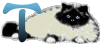 GIF animado (29972) Letra t gato angora