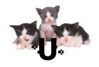 GIF animado (29947) Letra u gatitos