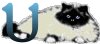 GIF animado (29973) Letra u gato angora