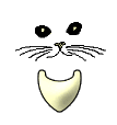GIF animado (29843) Letra v bigotes gato