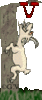 GIF animado (29149) Letra v cabra