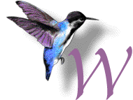 GIF animado (28902) Letra w colibri