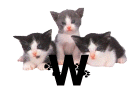 GIF animado (29949) Letra w gatitos
