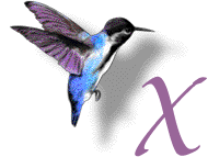 GIF animado (28903) Letra x colibri