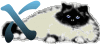 GIF animado (29976) Letra x gato angora