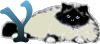GIF animado (29977) Letra y gato angora