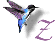 GIF animado (28905) Letra z colibri