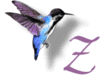 GIF animado (28905) Letra z colibri
