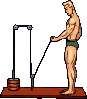GIF animado (15802) Maquina triceps