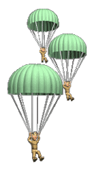 GIF animado (16317) Militares paracaidistas