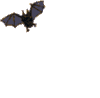 GIF animado (23714) Murcielago