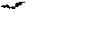 GIF animado (23691) Murcielago en halloween