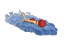 GIF animado (16275) Nadadora
