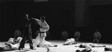 GIF animado (15163) Ninjutsu karate