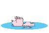 GIF animado (29230) Numero cerdito