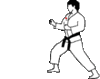 GIF animado (15112) Patada judo